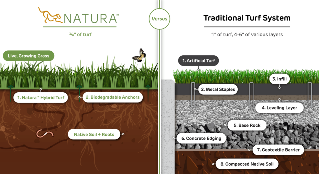 Natura turf vs traditional artificial turf