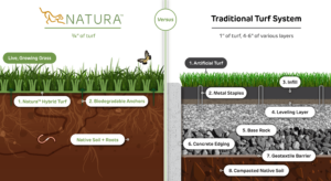 Natura turf vs traditional artificial turf