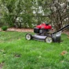 Natura® Large Roll Dog Turf 36in x 25ft - Image 4