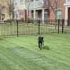 Natura® Large Roll Dog Turf 36in x 25ft - Image 3