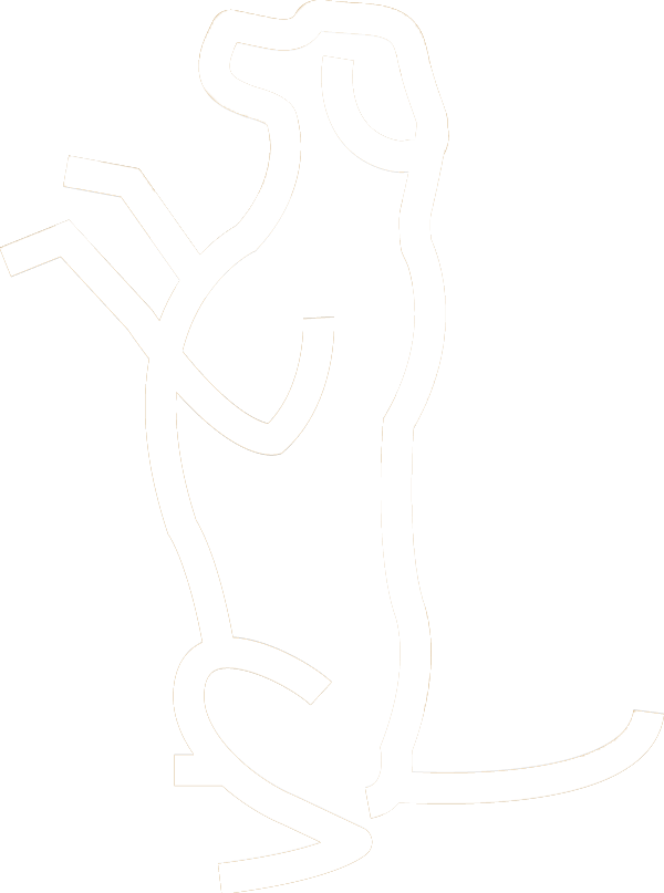ktt10