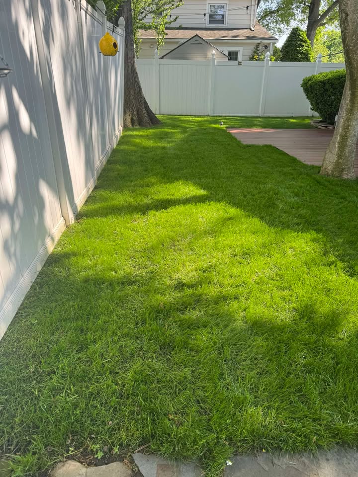 The yard looks great