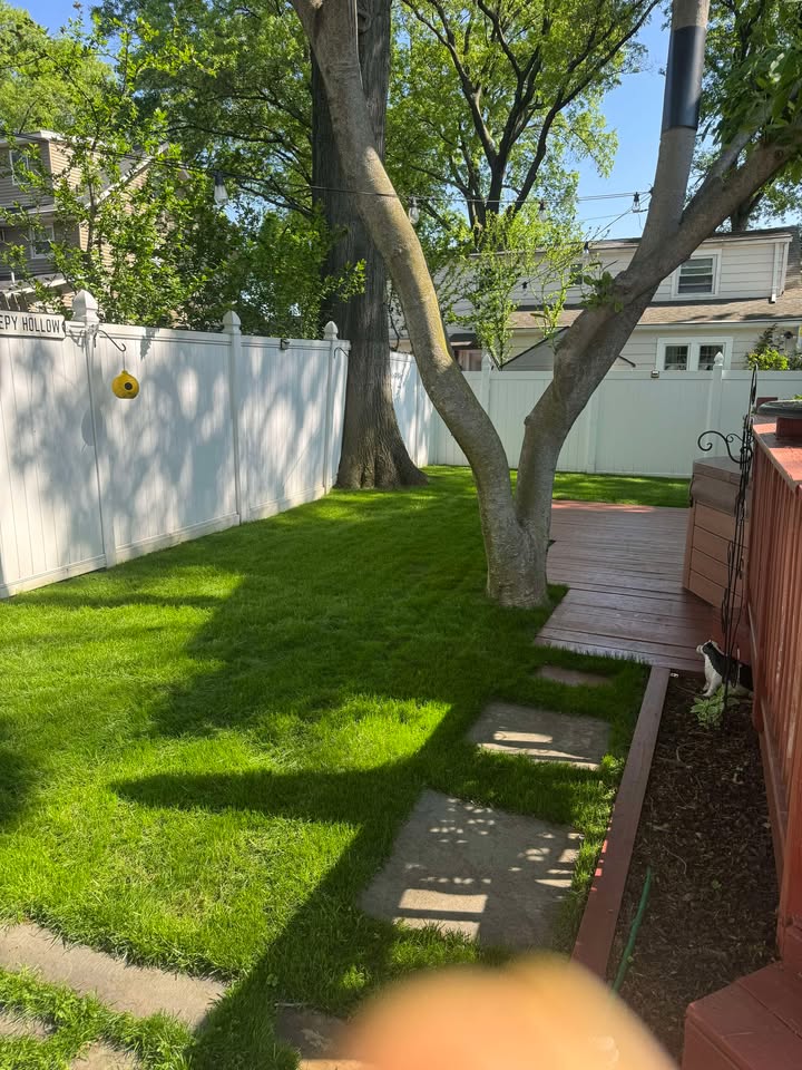 Yard looking good