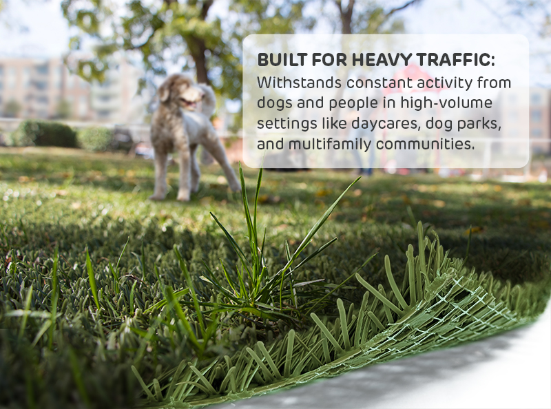 Built for Heavy Traffic: Withstands constant activity from dogs and people in high-volume settings like daycares, dog parks, and multifamily communities.