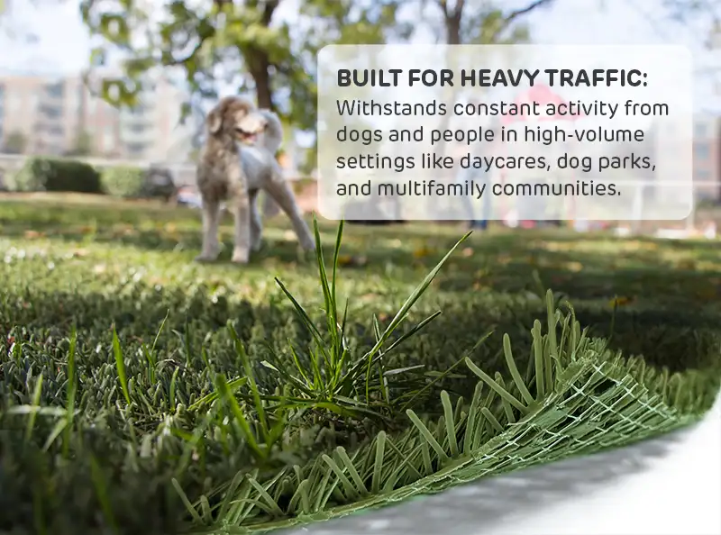 Built for Heavy Traffic: Withstands constant activity from dogs and people in high-volume settings like daycares, dog parks, and multifamily communities.